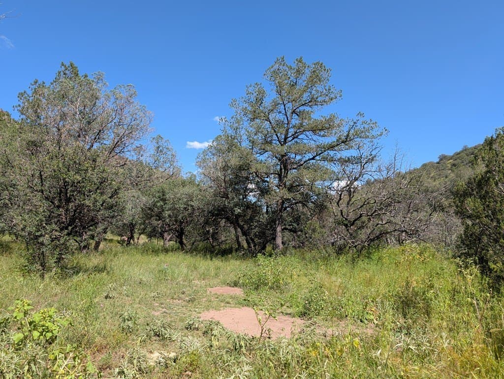 6.44 acres in Jeff Davis County - photo 5