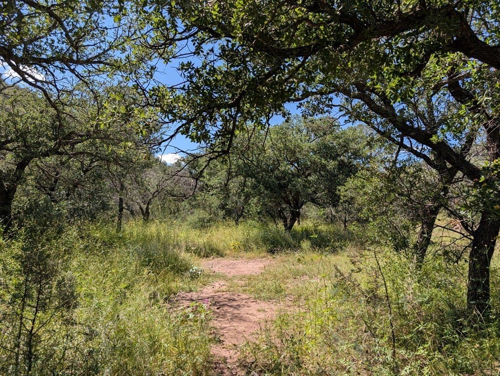 6.44 acres in Jeff Davis County - photo 3