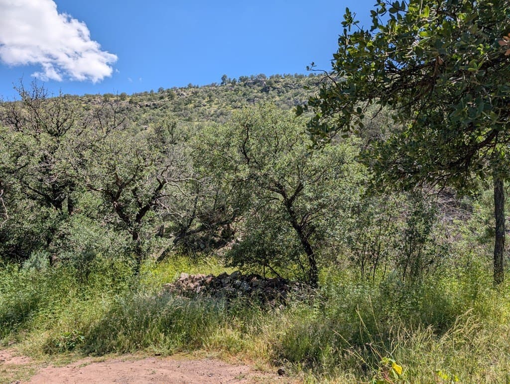 6.44 acres in Jeff Davis County - photo 8