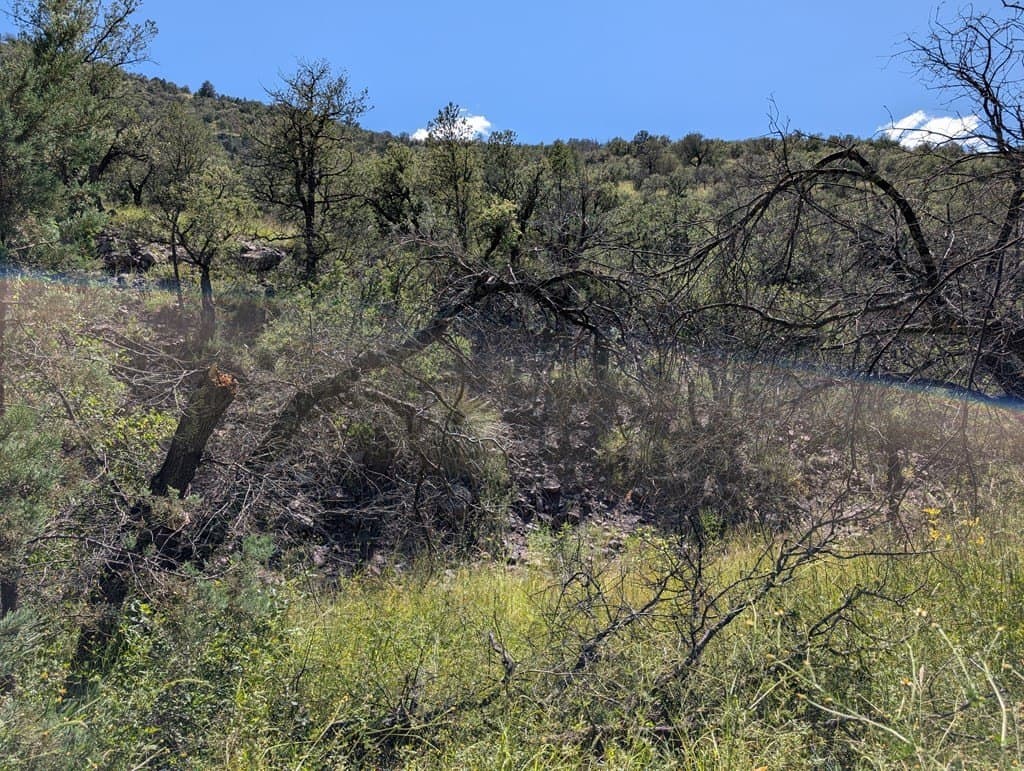 6.44 acres in Jeff Davis County - photo 9
