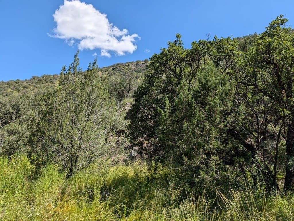 6.44 acres in Jeff Davis County - photo 10