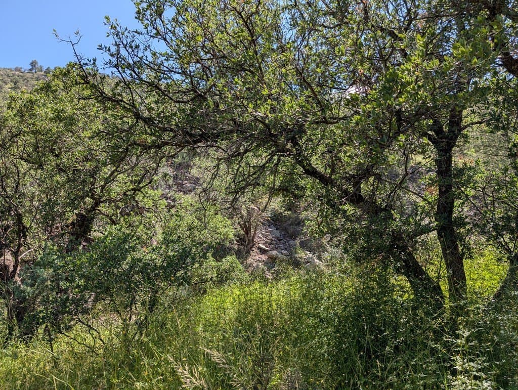 6.44 acres in Jeff Davis County - photo 7