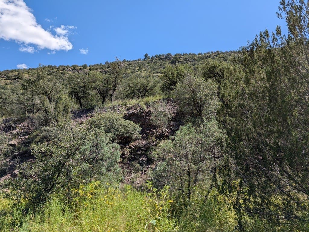 6.44 acres in Jeff Davis County - photo 11