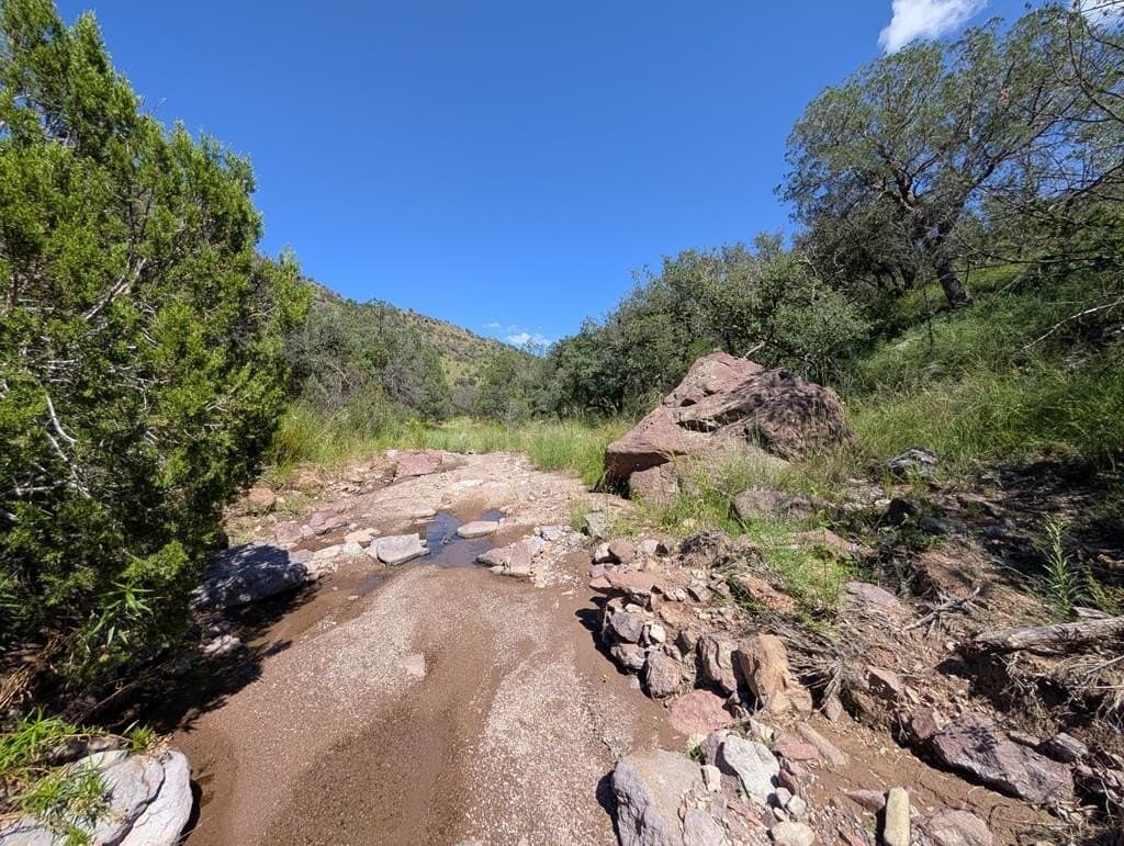 6.44 acres in Jeff Davis County - photo 2