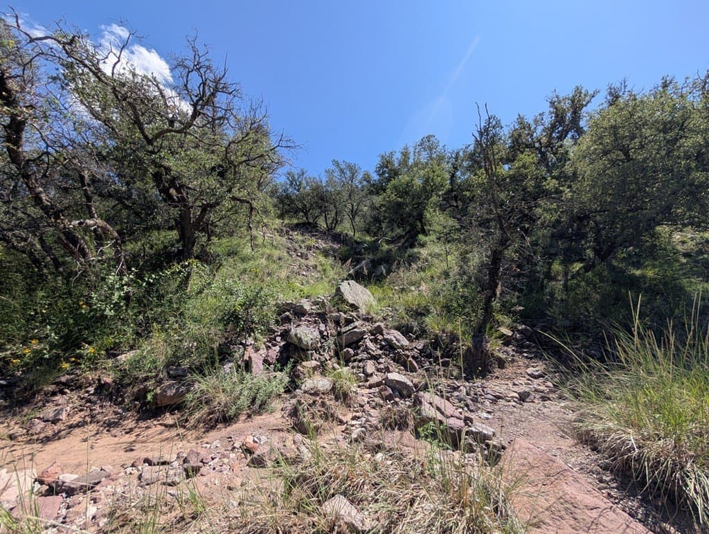 6.44 acres in Jeff Davis County - photo 16