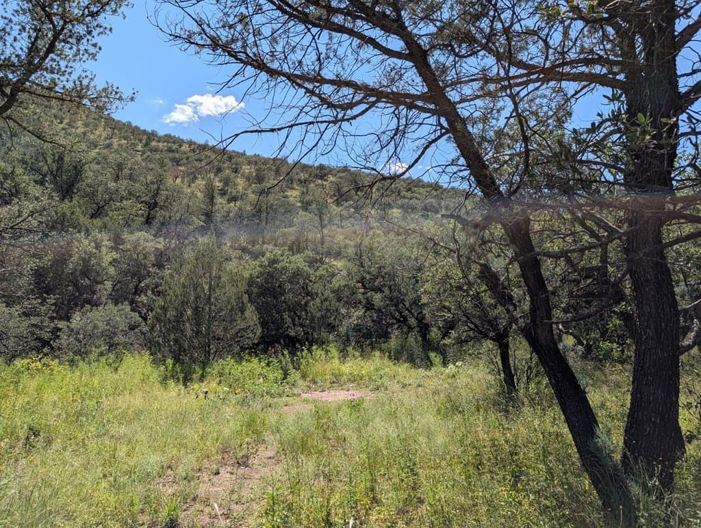 6.44 acres in Jeff Davis County - photo 12