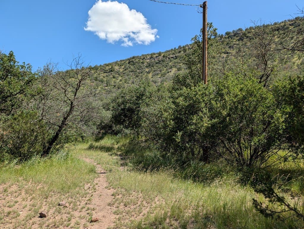 6.44 acres in Jeff Davis County - photo 6