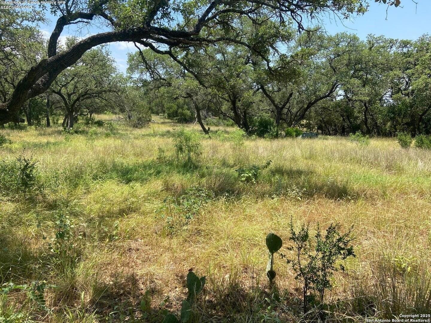 12.98 acres in Medina County - photo 23