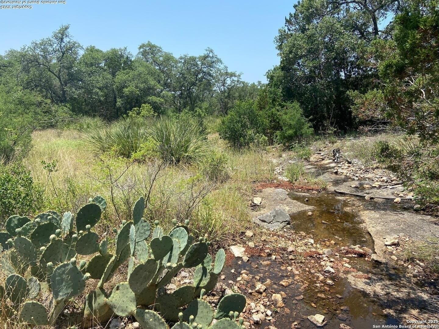 12.98 acres in Medina County - photo 24