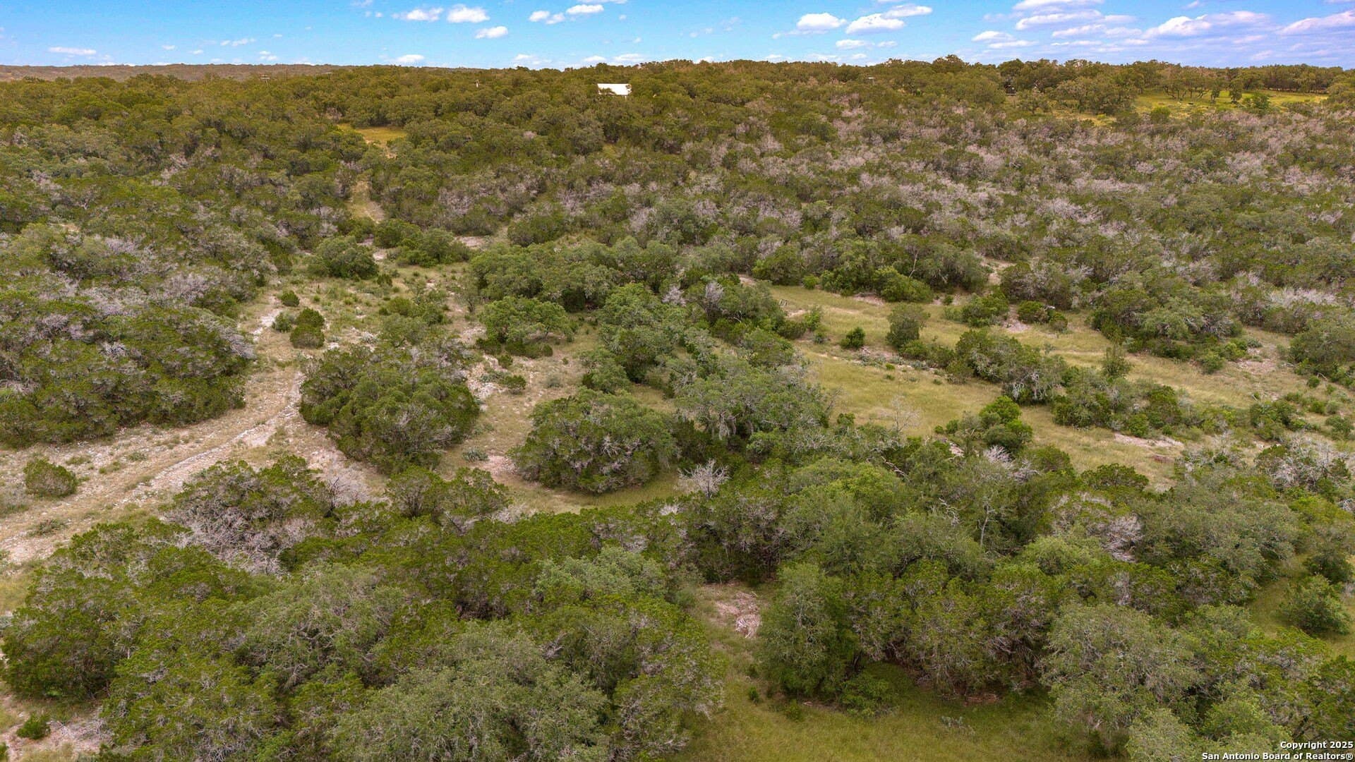 12.98 acres in Medina County - photo 19