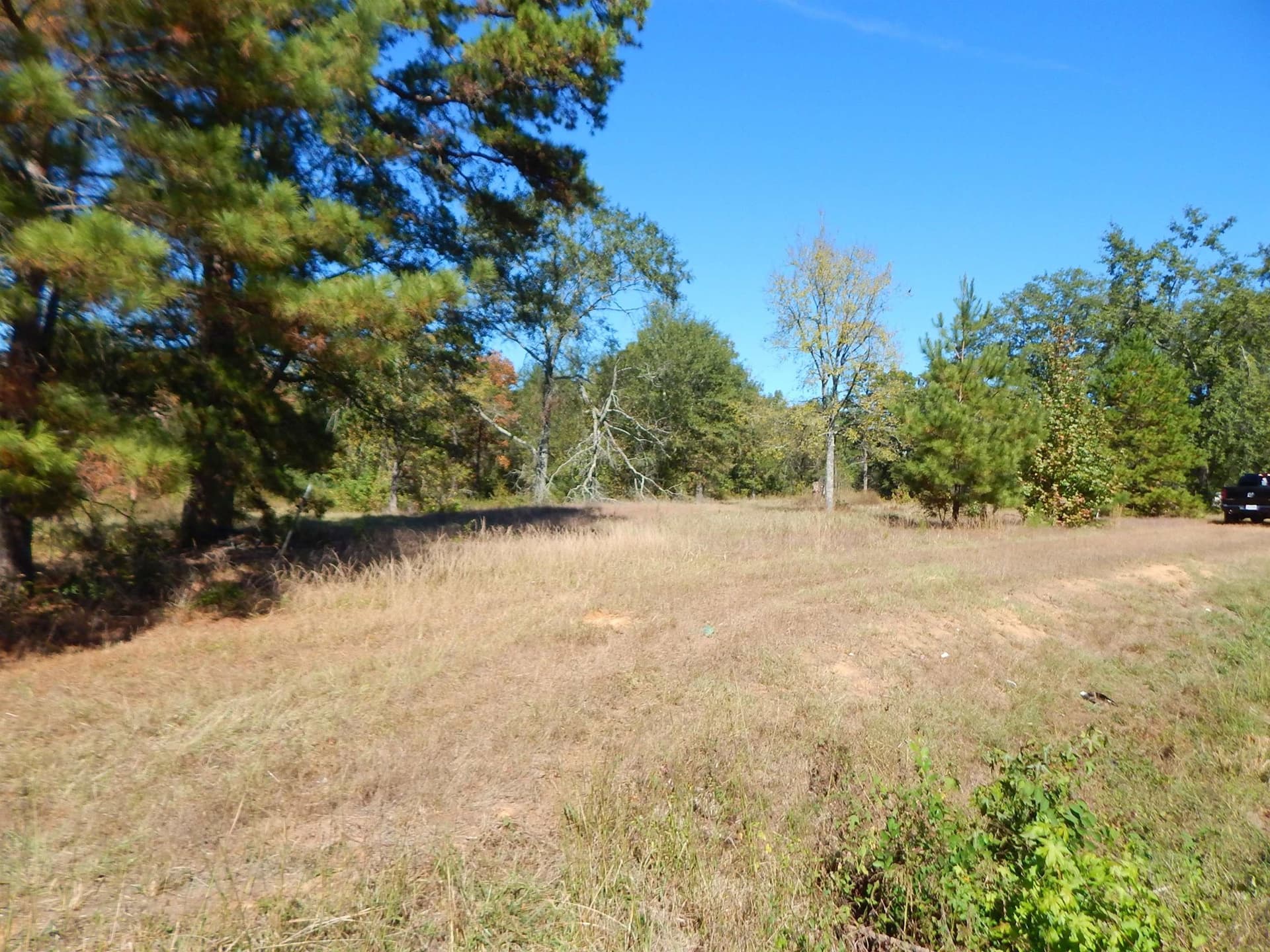 2 acres in Upshur County - photo 5