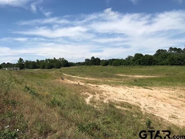 10.53 acres in Smith County - photo 2