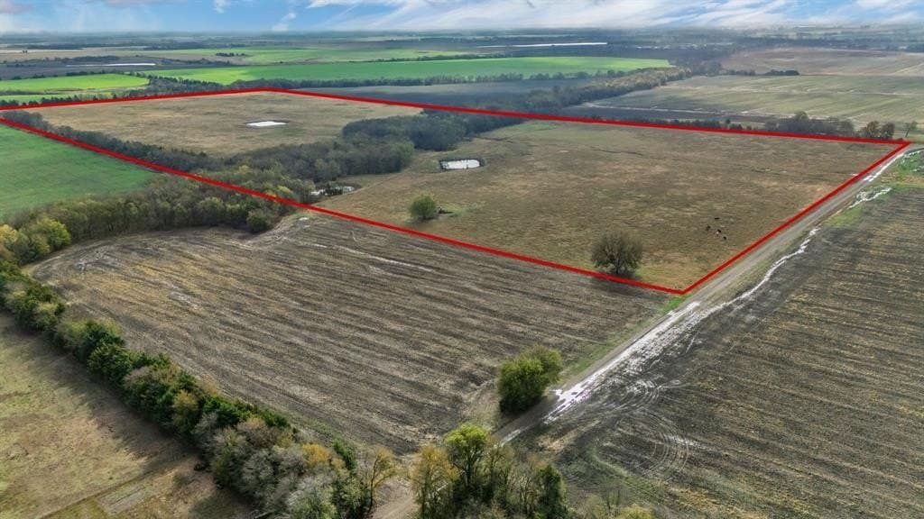 73 acres in Delta County - photo 19