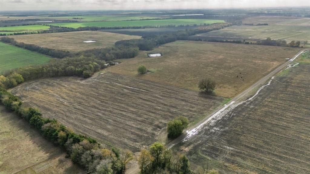 73 acres in Delta County - photo 21