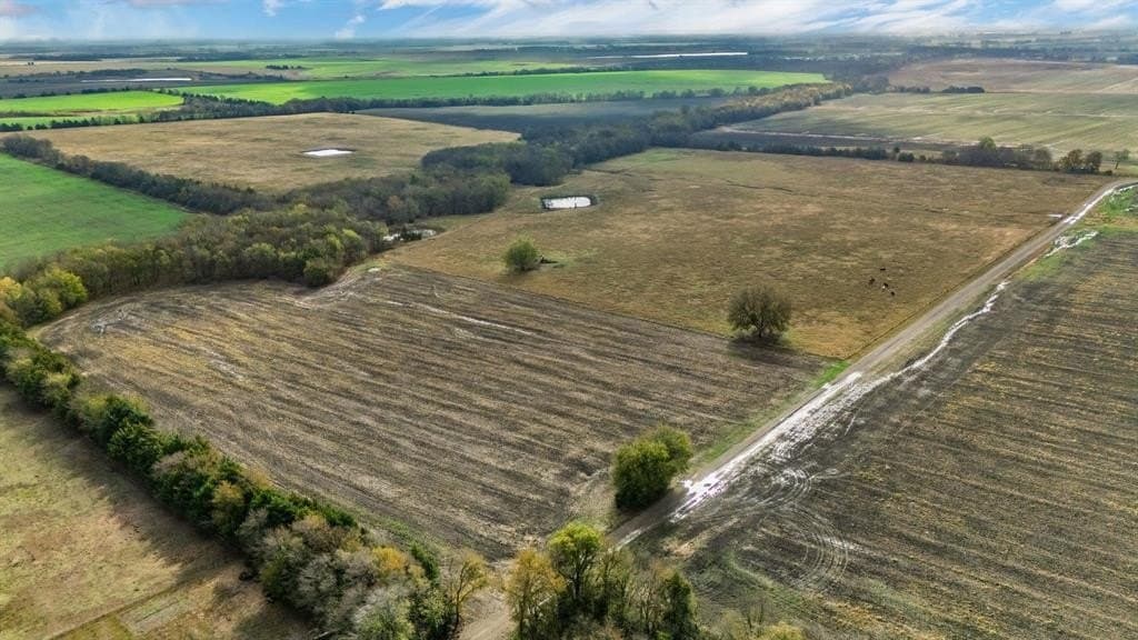 73 acres in Delta County - photo 20