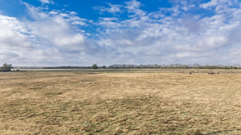 73 acres in Delta County - photo 9