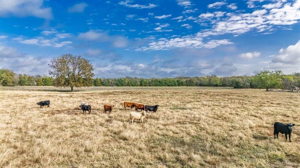 73 acres in Delta County - photo 2