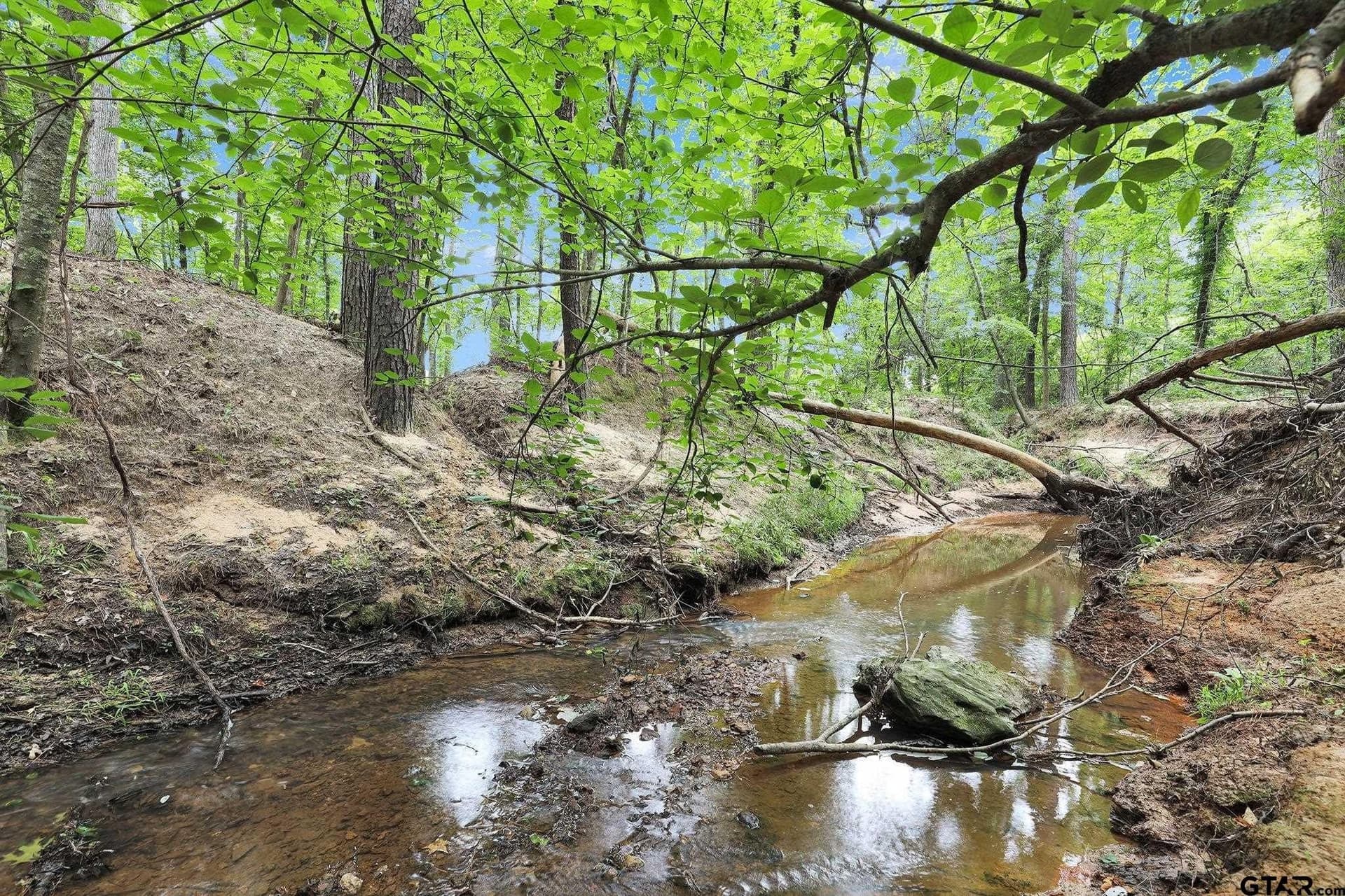 115.17 acres in Smith County - photo 25