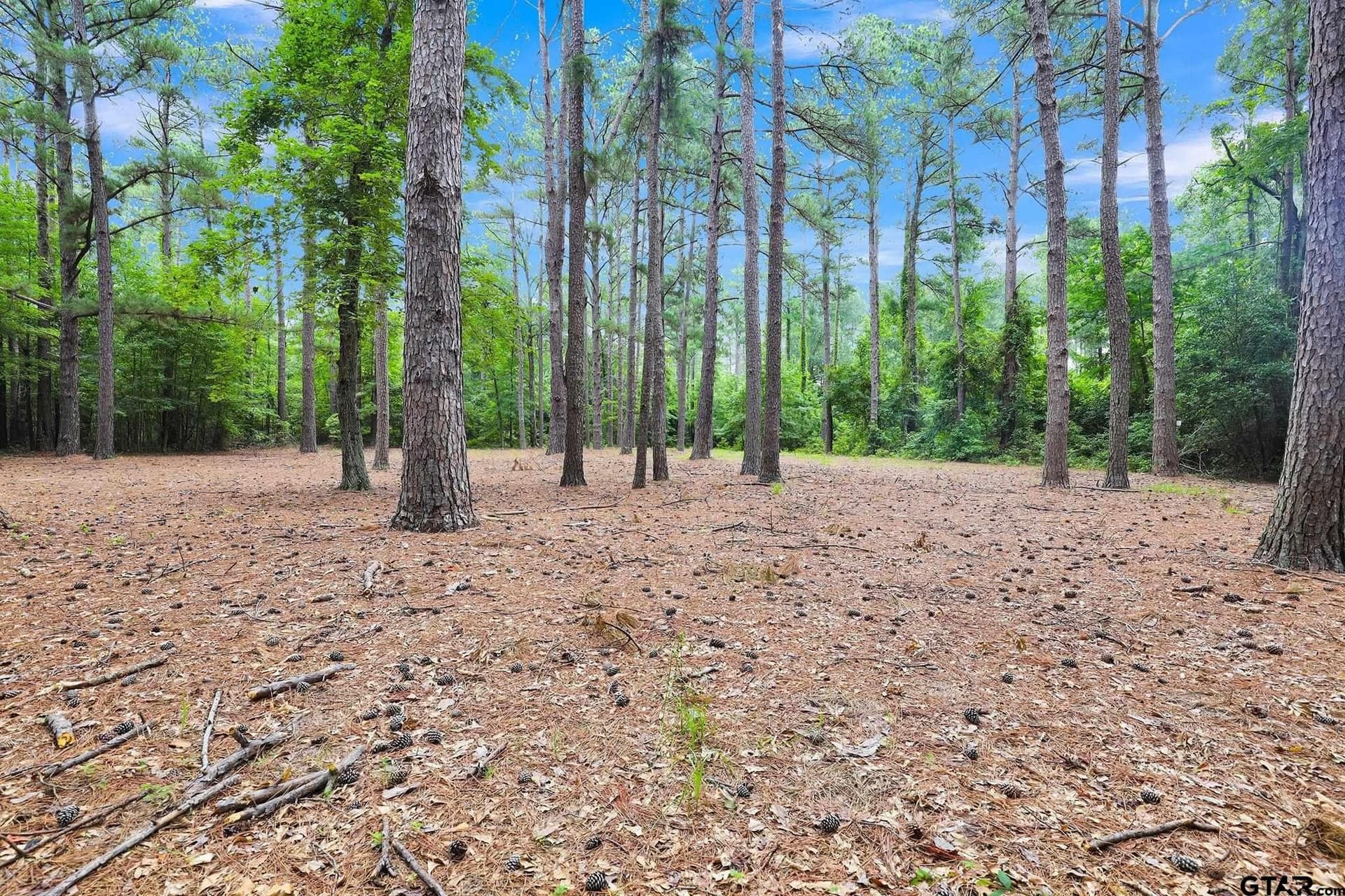115.17 acres in Smith County - photo 17