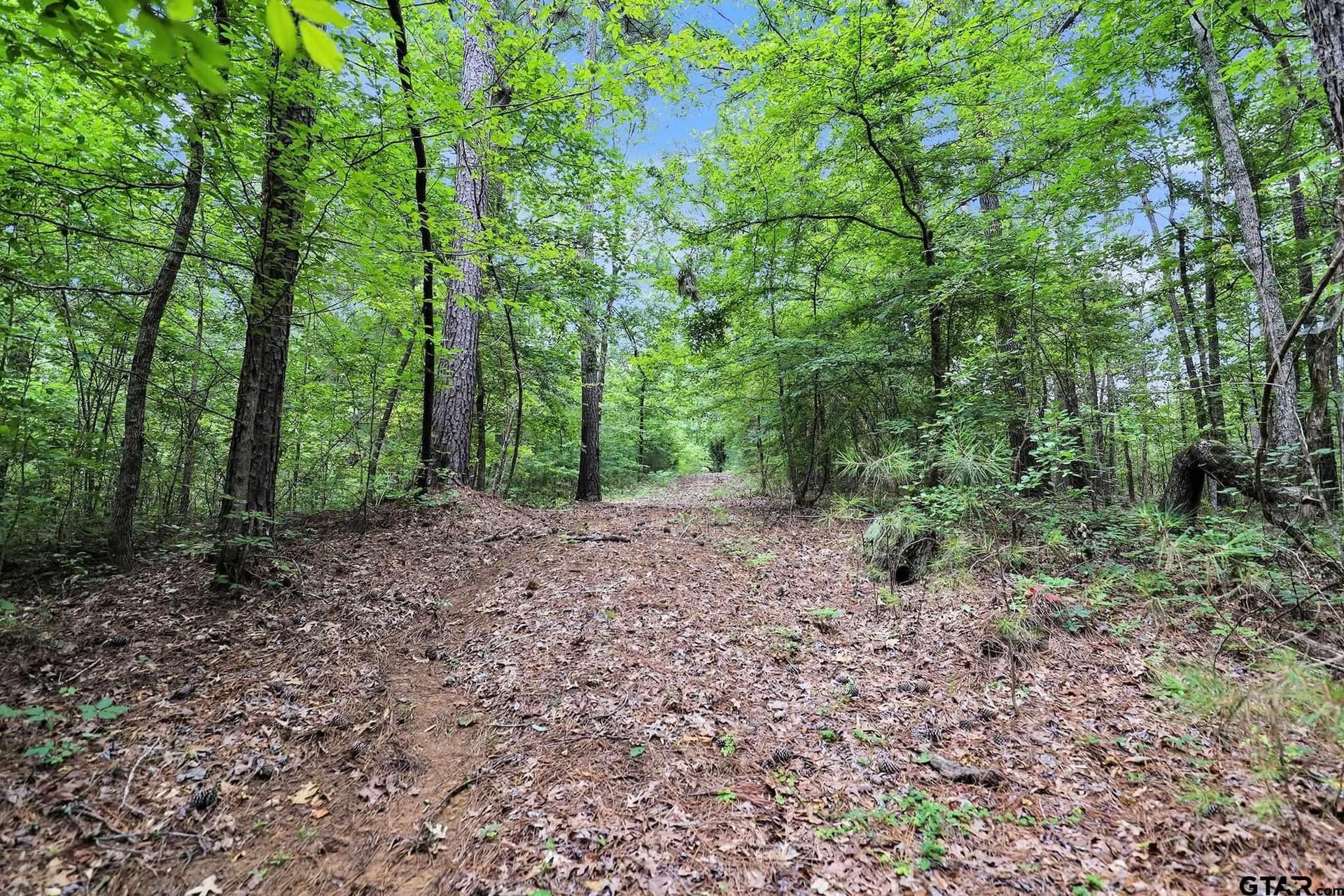 115.17 acres in Smith County - photo 27