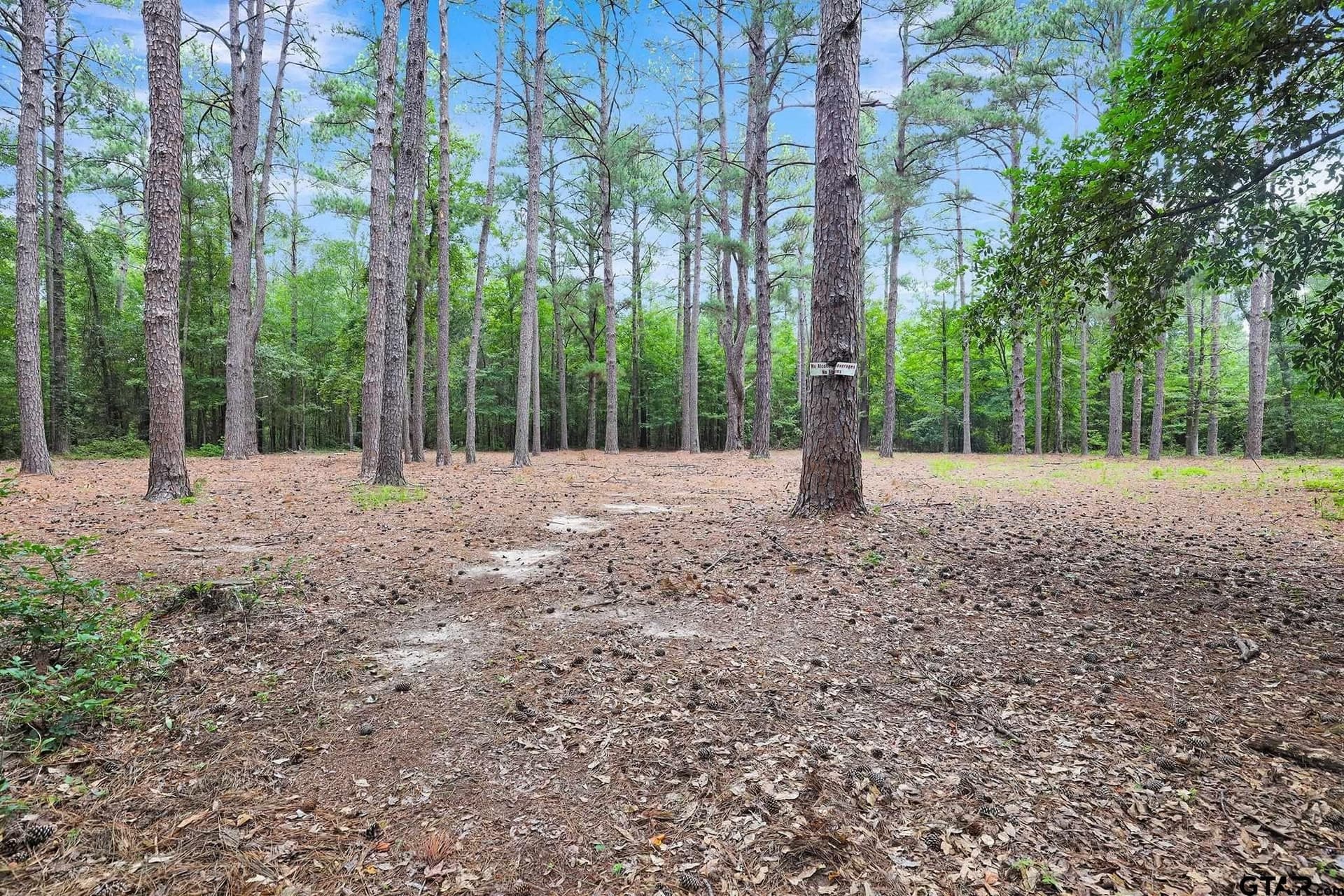 115.17 acres in Smith County - photo 19