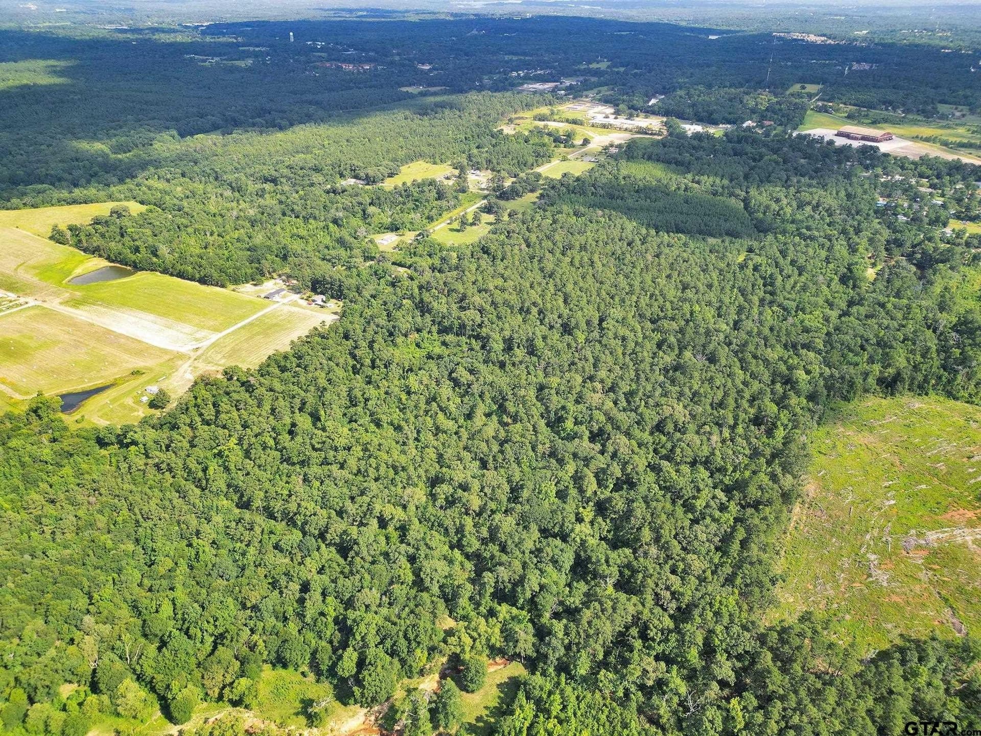115.17 acres in Smith County - photo 4
