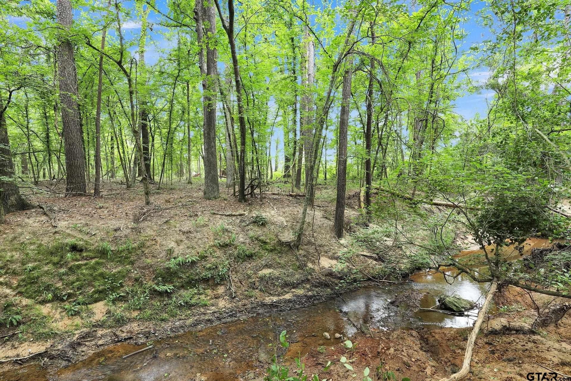 115.17 acres in Smith County - photo 23