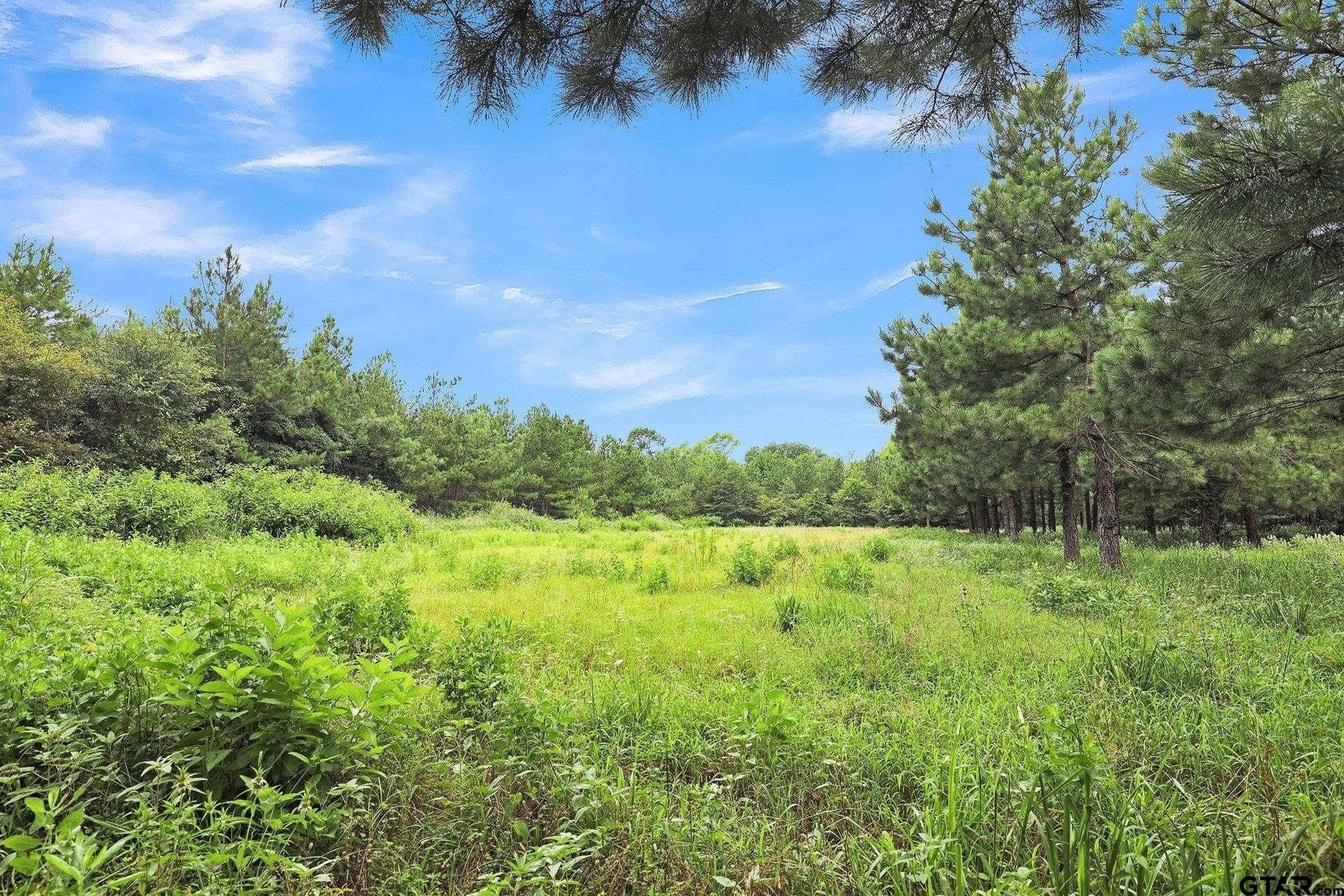 115.17 acres in Smith County - photo 15