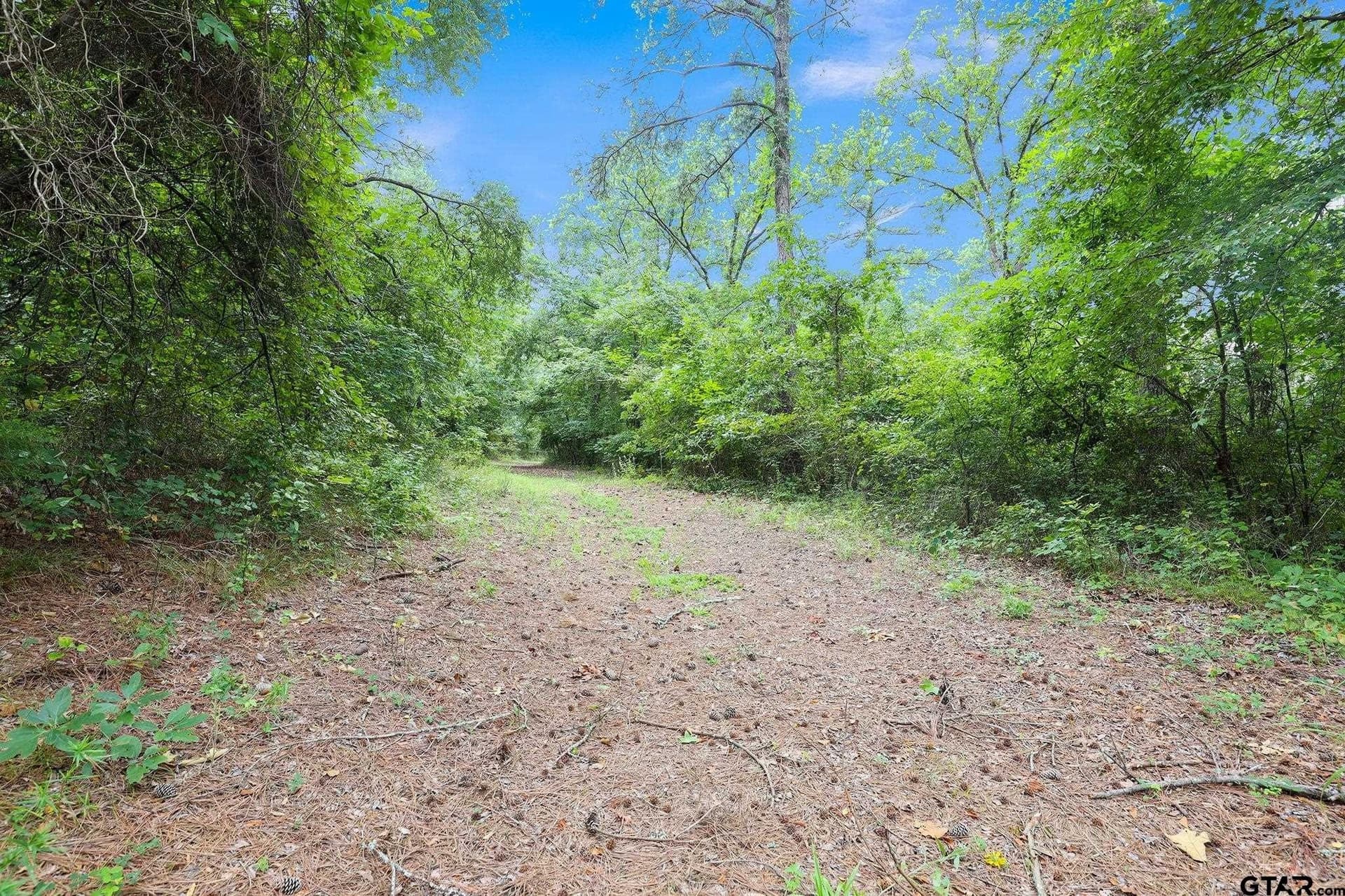 115.17 acres in Smith County - photo 20