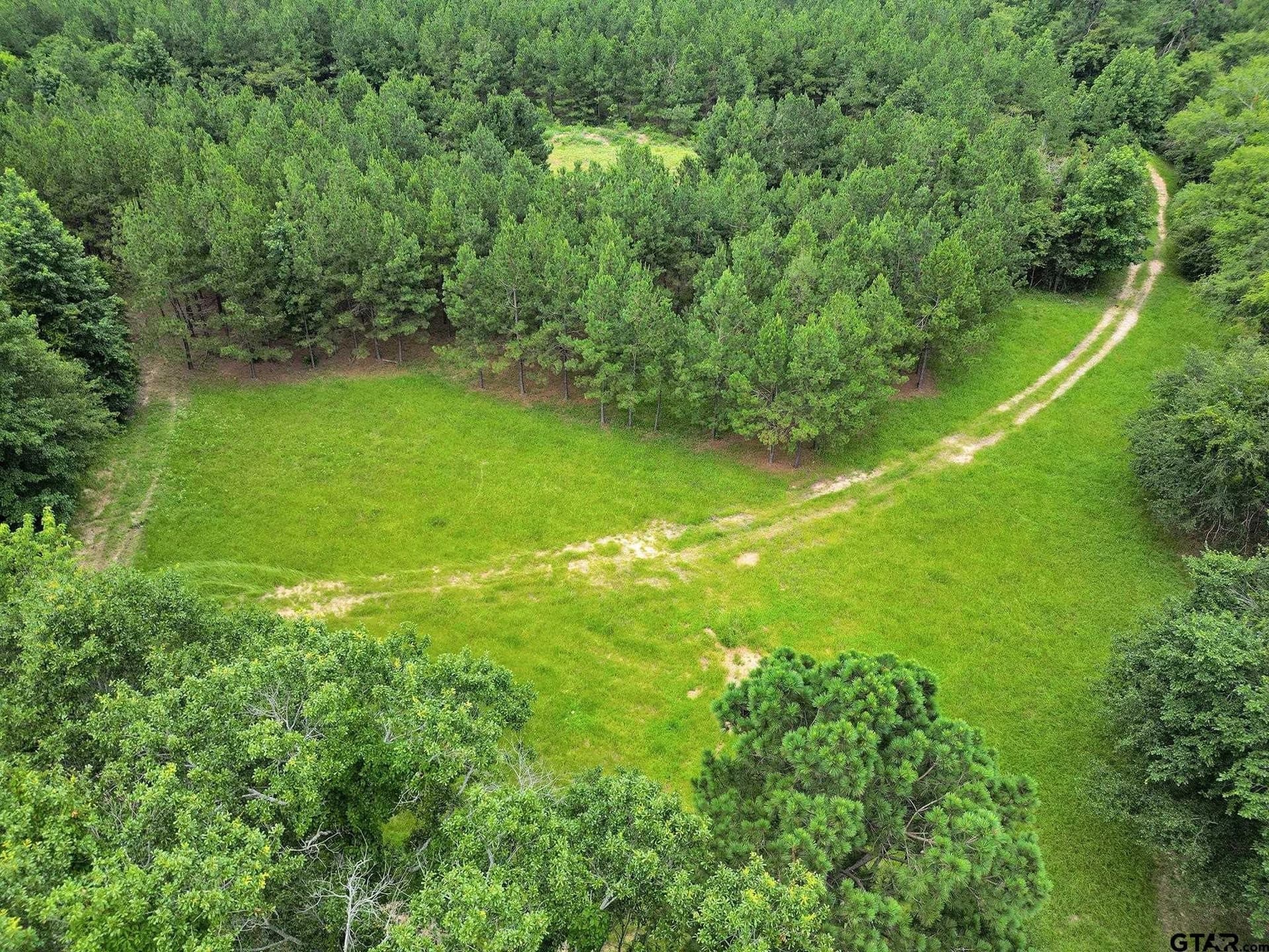 115.17 acres in Smith County - photo 29