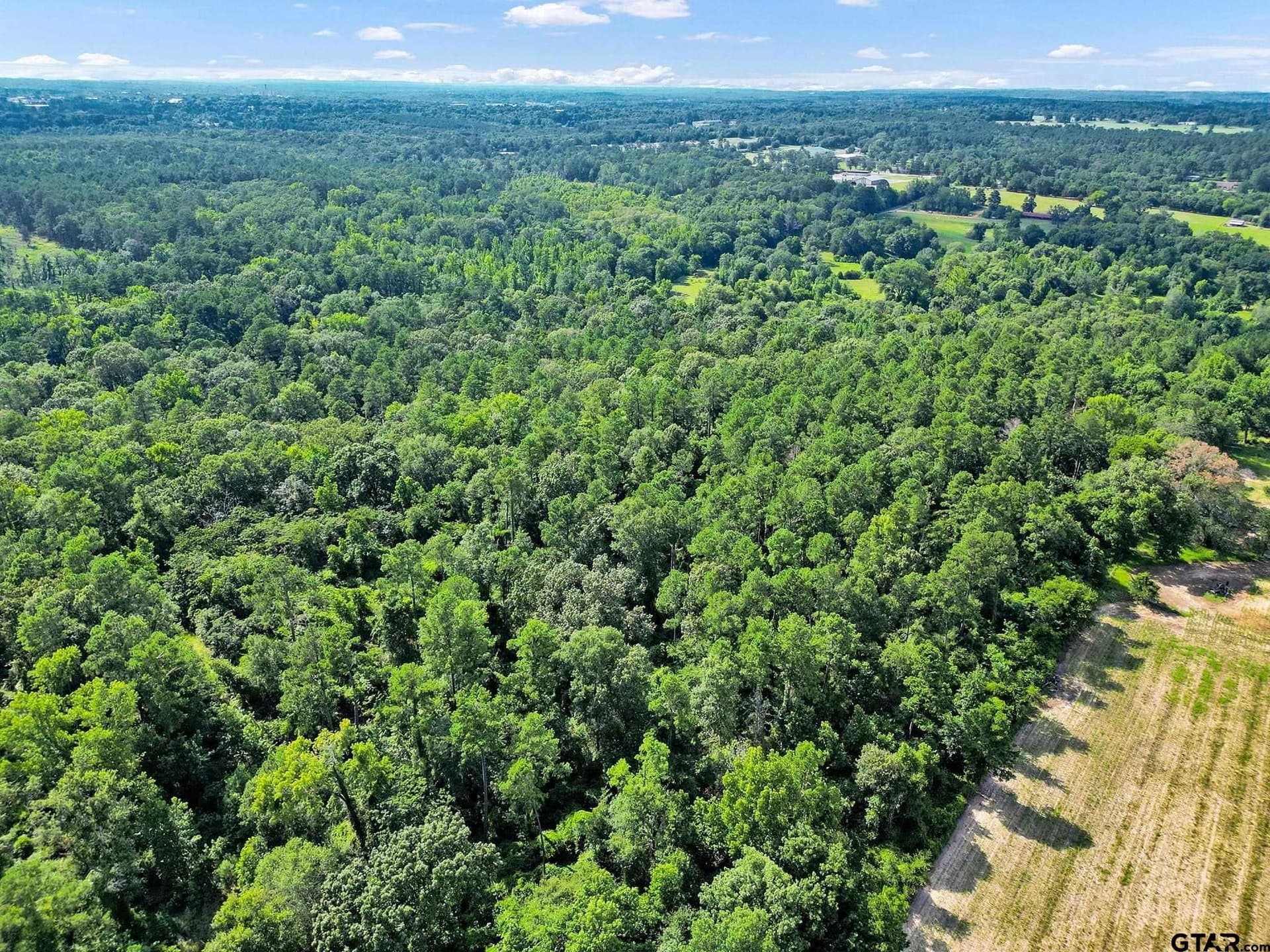 115.17 acres in Smith County - photo 14