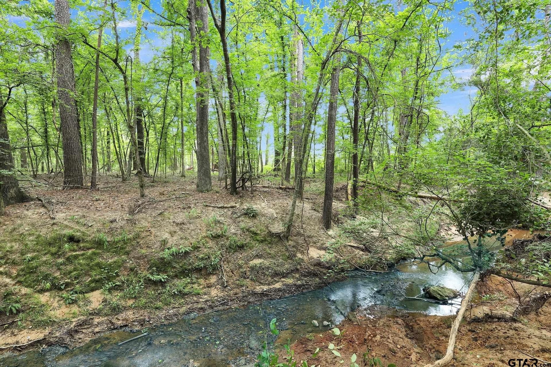 115.17 acres in Smith County - photo 22