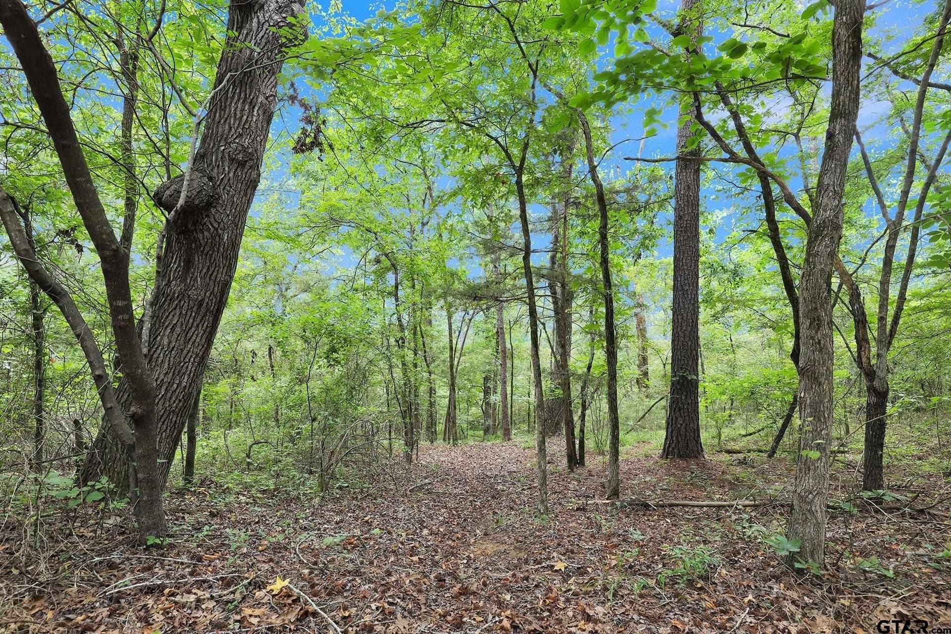 115.17 acres in Smith County - photo 21