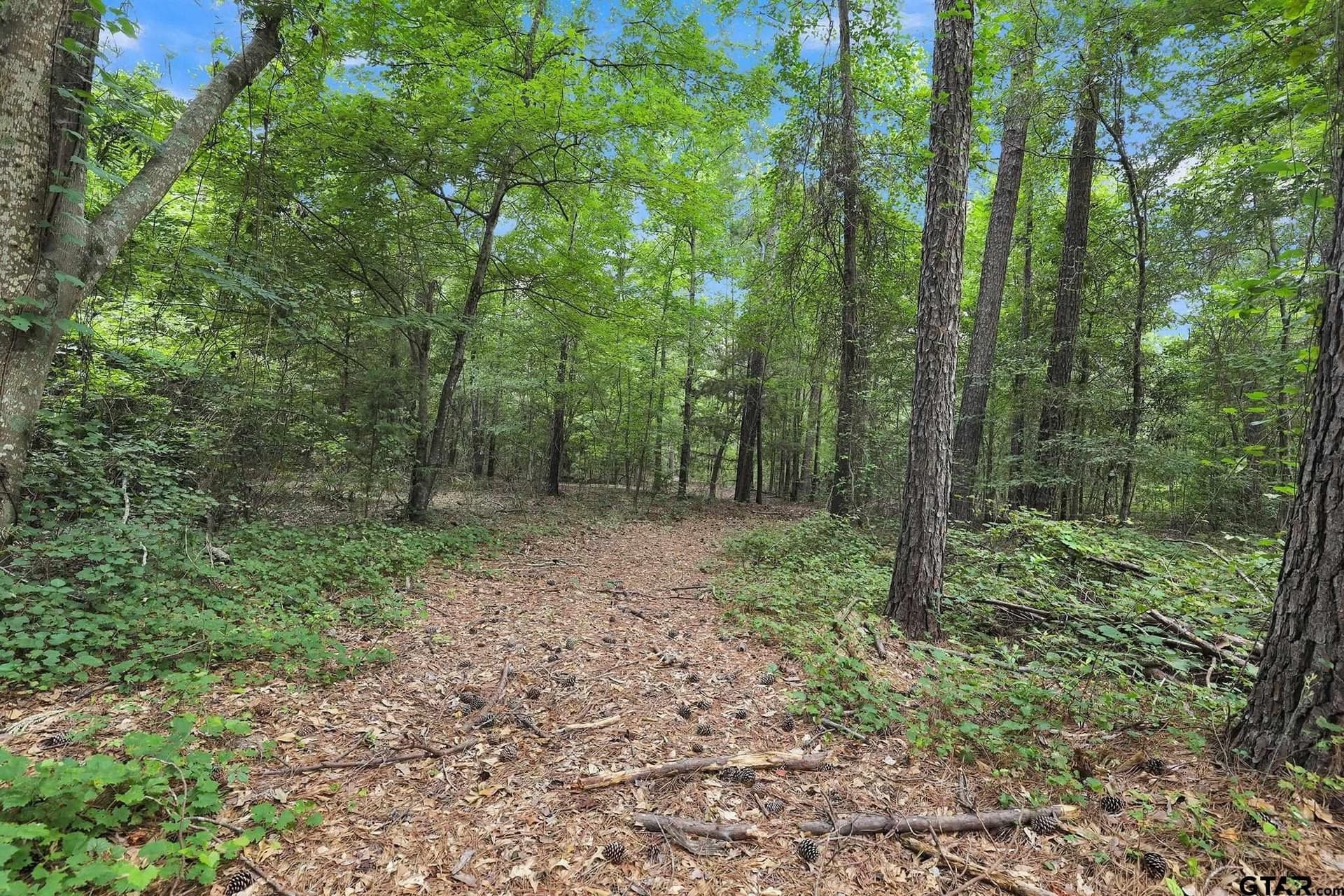 115.17 acres in Smith County - photo 18