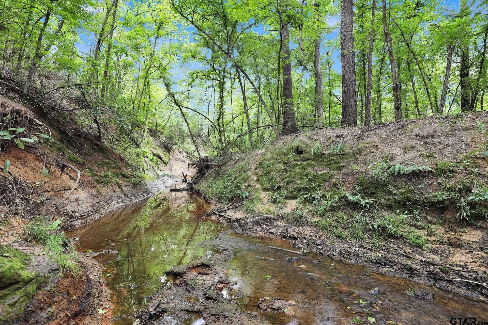 115.17 acres in Smith County - photo 24