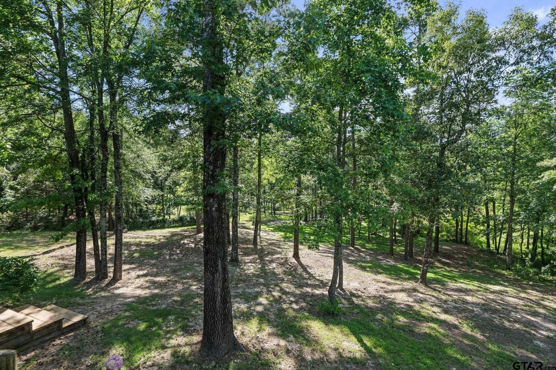 18 acres in Wood County - photo 27