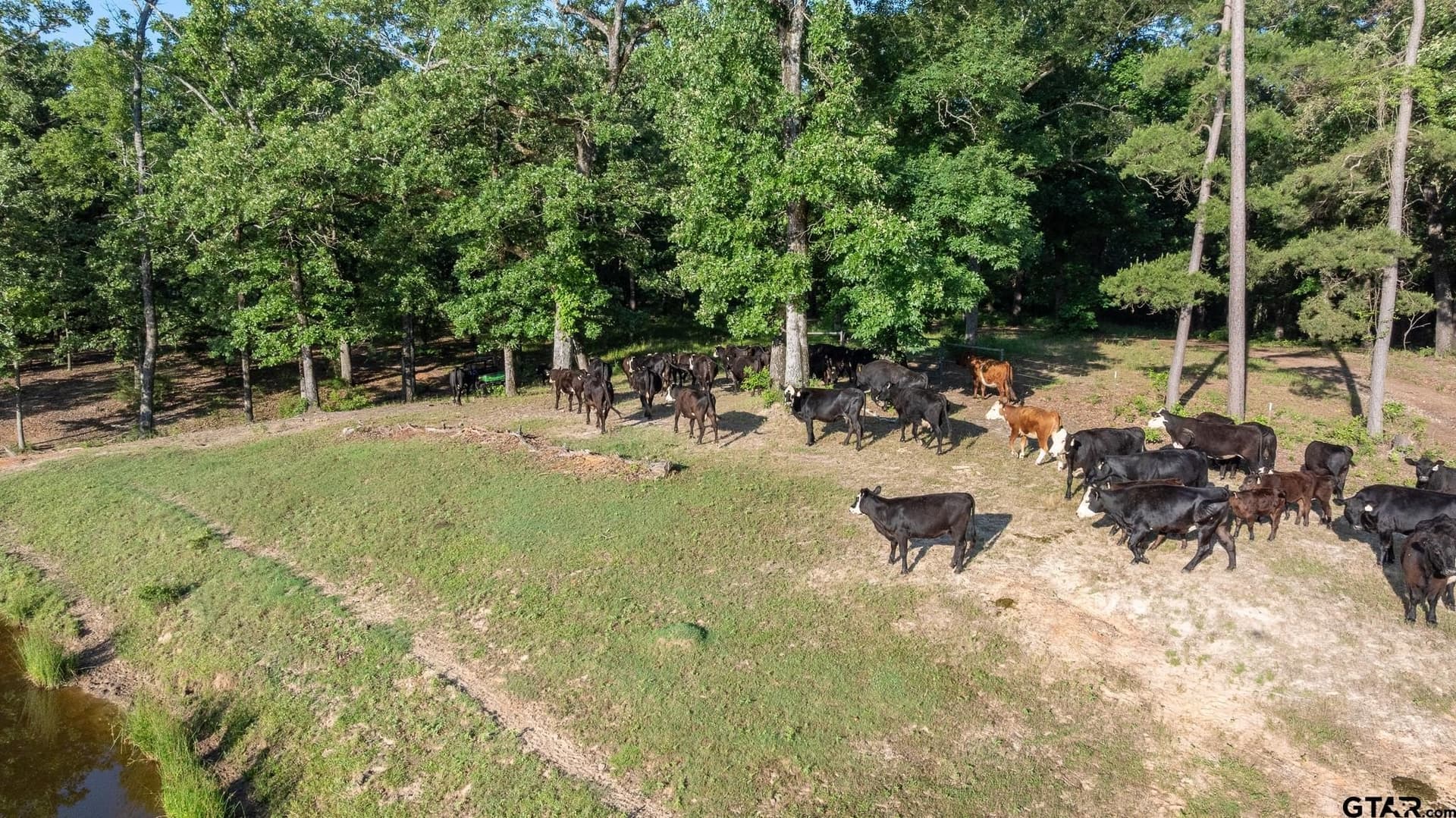 18 acres in Wood County - photo 21