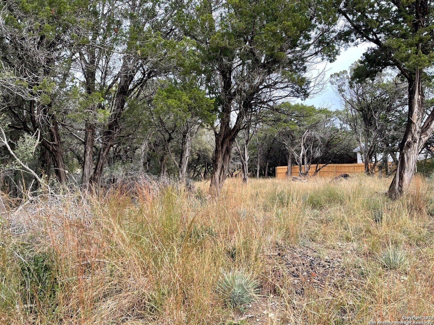 0.12 acres in Bandera County - photo 4