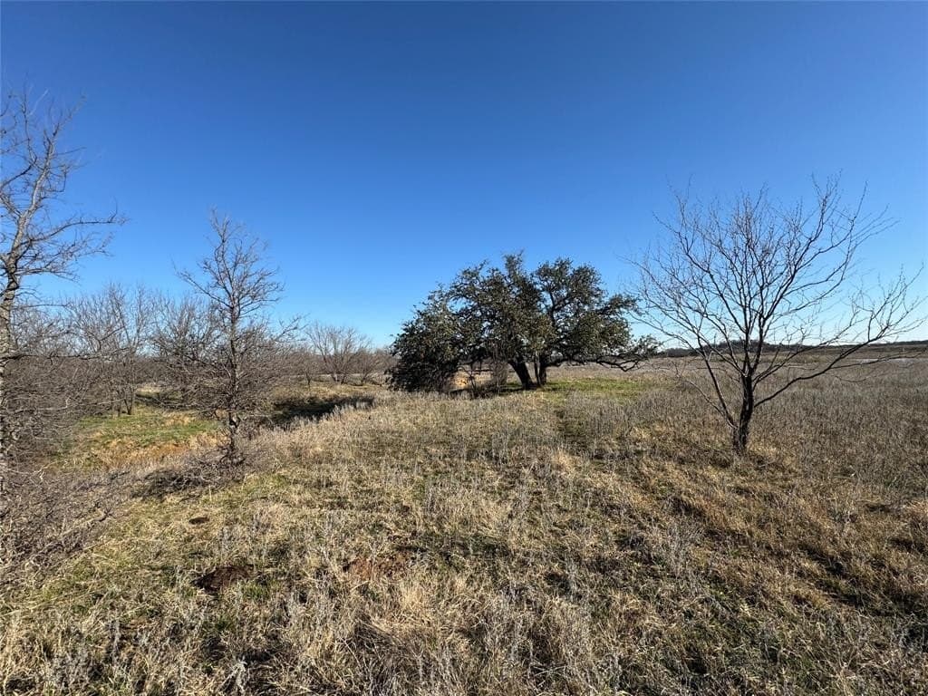 64.33 acres in Palo Pinto County - photo 5