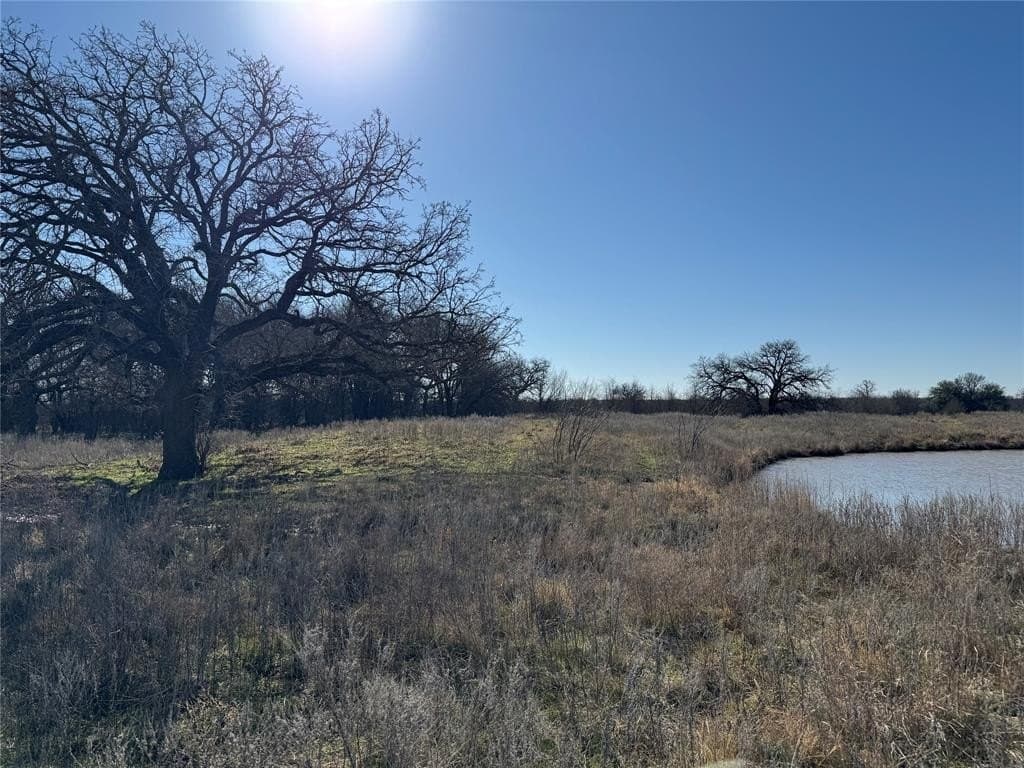 64.33 acres in Palo Pinto County - photo 9