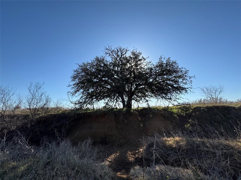 64.33 acres in Palo Pinto County - photo 6