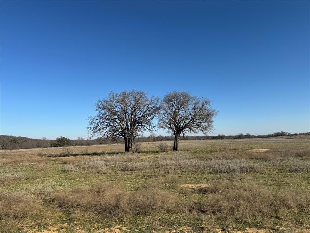 64.33 acres in Palo Pinto County - photo 4