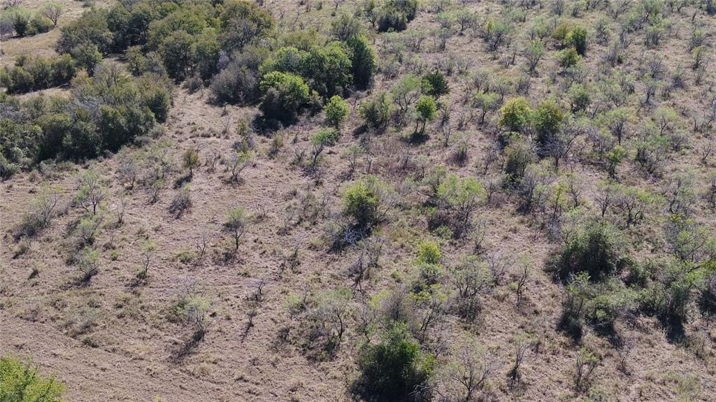 10 acres in Limestone County - photo 3