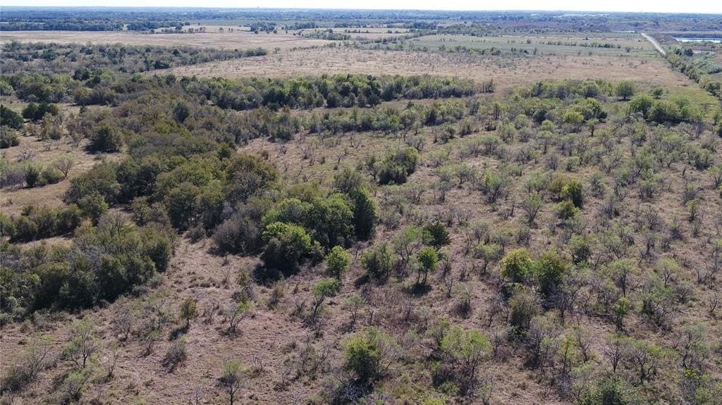 10 acres in Limestone County - photo 2