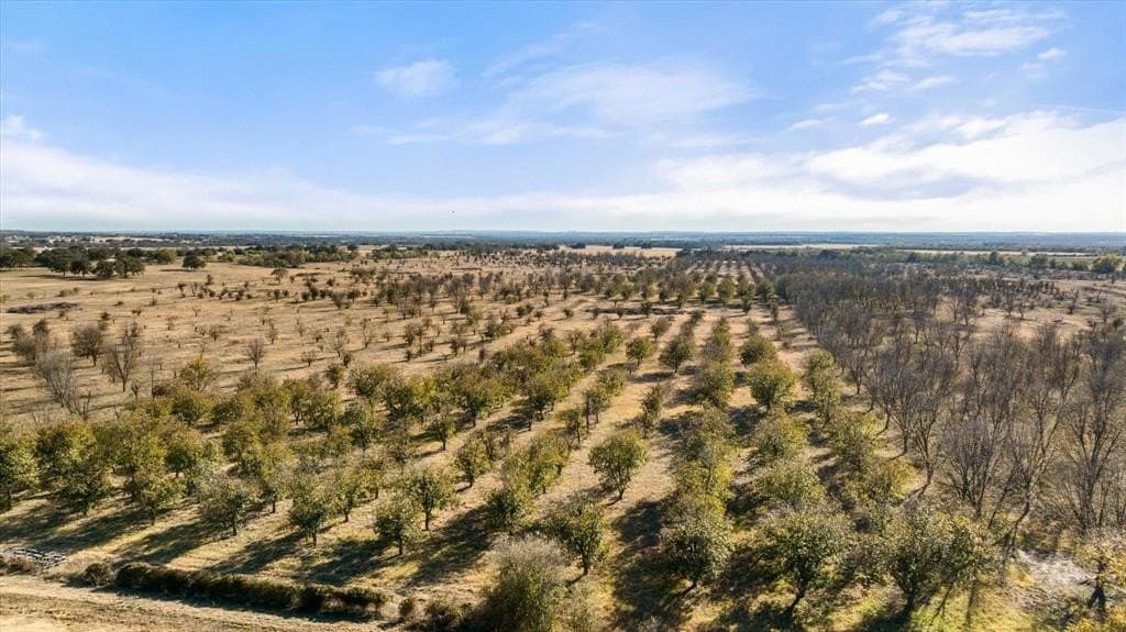 138.04 acres in Comanche County - photo 4