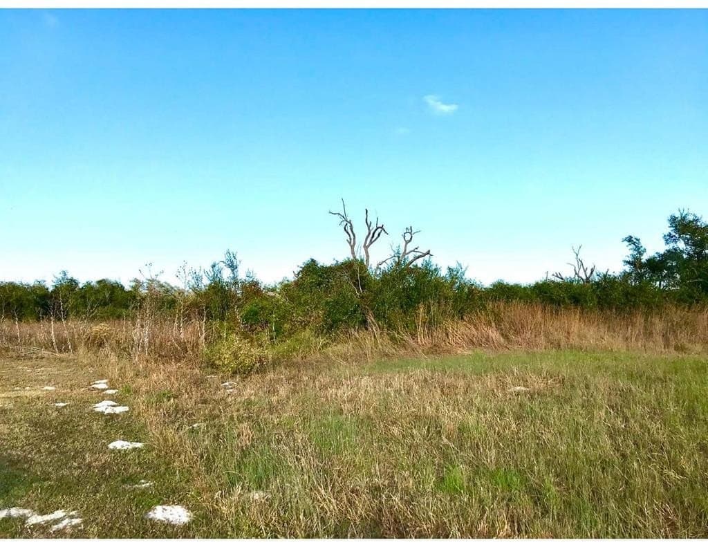 7.68 acres in San Patricio County - photo 13
