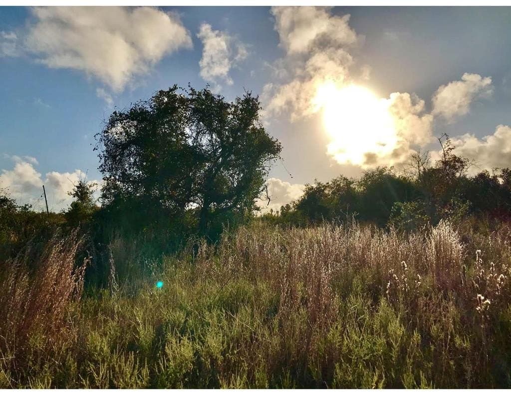 7.68 acres in San Patricio County - photo 4