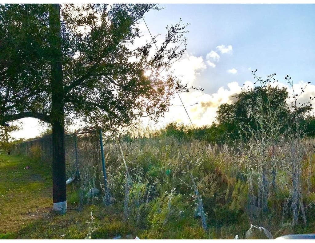 7.68 acres in San Patricio County - photo 11