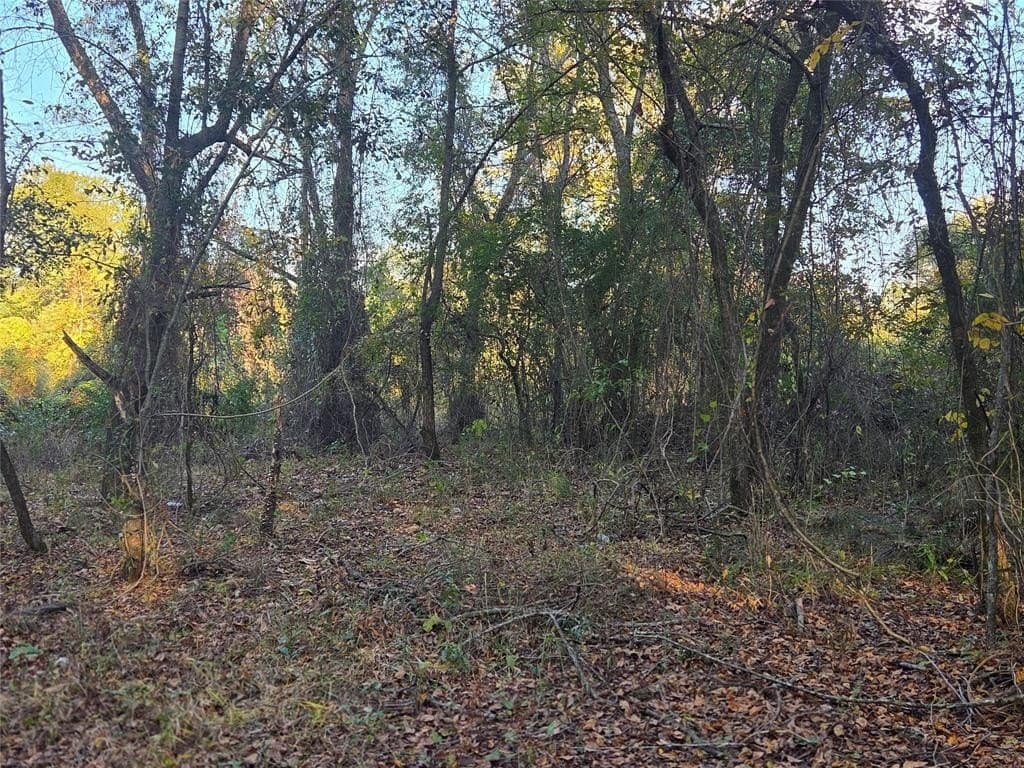 7 acres in Red River County - photo 9