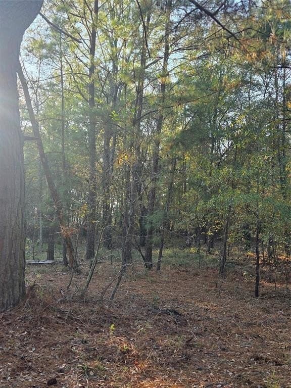7 acres in Red River County - photo 8